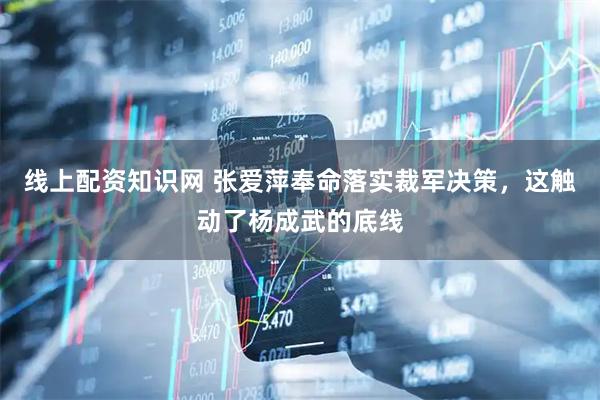 线上配资知识网 张爱萍奉命落实裁军决策，这触动了杨成武的底线